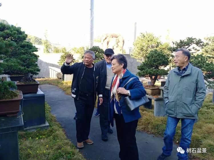 伟大使命复兴中国盆景艺术事业——2019中盆会大事回顾(下篇)