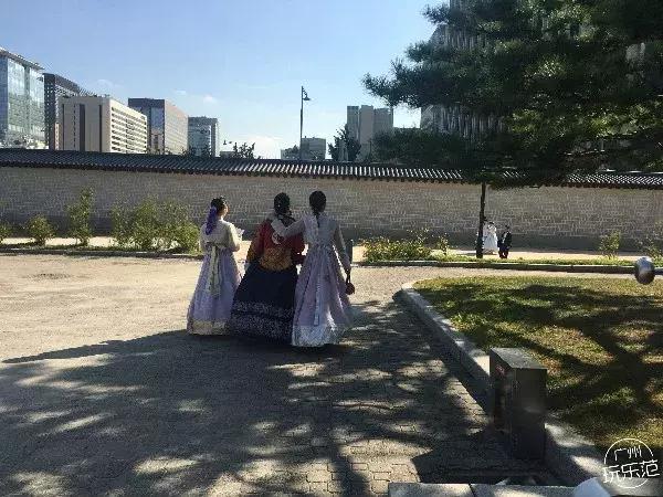 月薪三千也能玩转张家界,月薪3000也能吃得起的海鲜