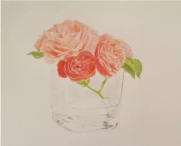 动漫手绘教程水溶彩铅上色技法,彩铅动物毛发技法绘画教程视频