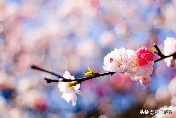 没有必要为自己买单 (做人别透支自己的人情)