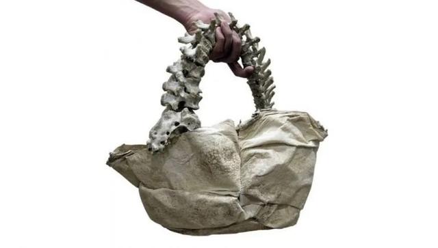 印尼富二代做手提包视频,印尼富二代用儿童脊椎造手提包