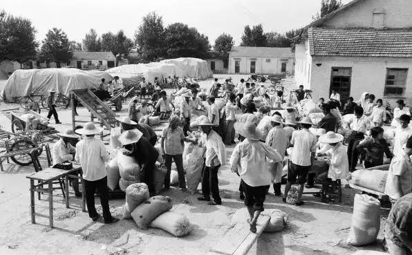 80年代场景农村交公粮,回忆从前农村交公粮