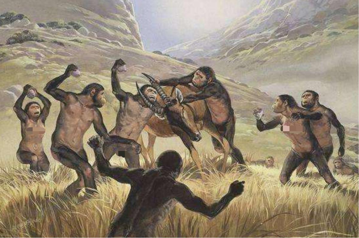 人类进化过程中为什么还有体毛,人类进化退化毛发