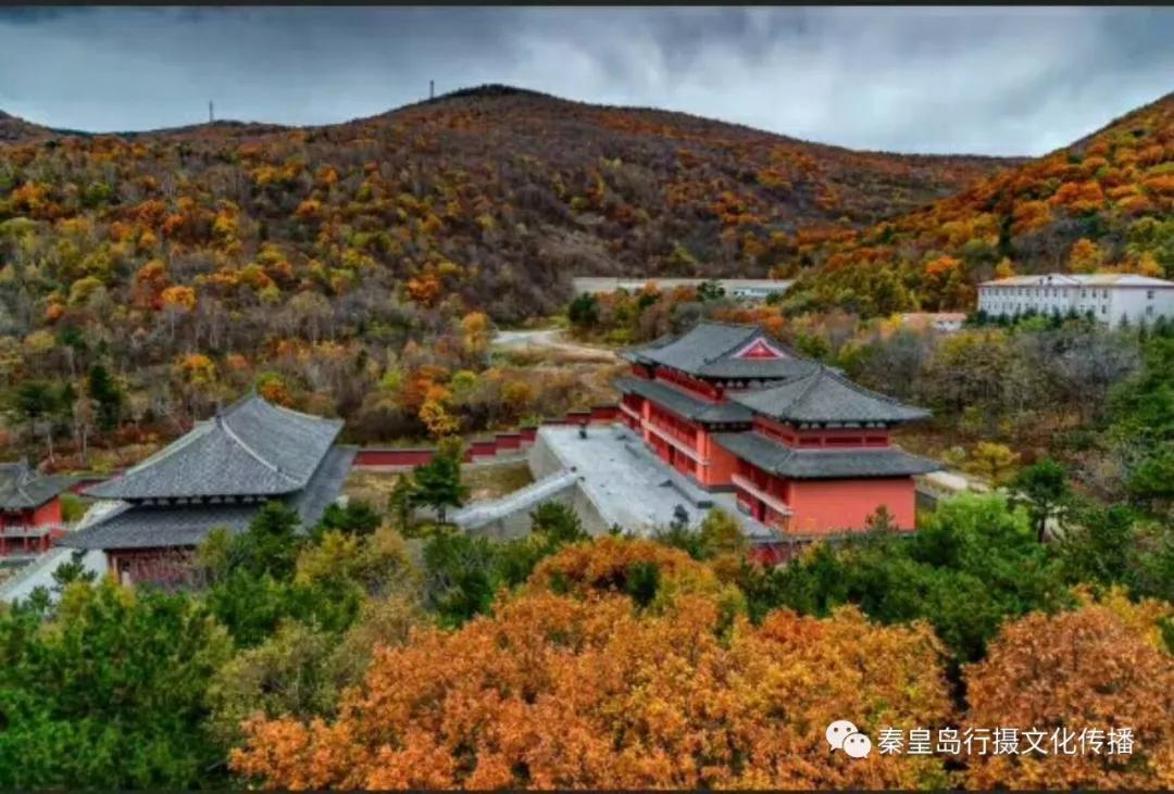 秦皇岛秋天美景,秦皇岛秋天落日和晚风