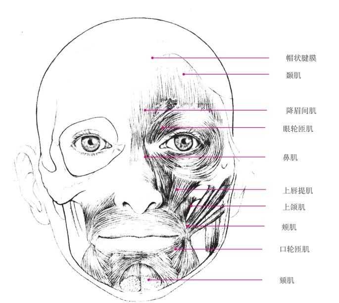 零基础怎样画最简单的素描教程,零基础的素描教程怎么画