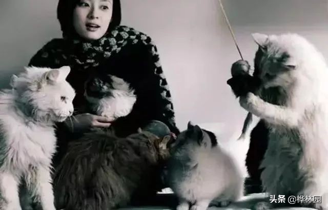 世界级美人“高颜值”“好气质”“魔鬼身材”原来可以吃出来的