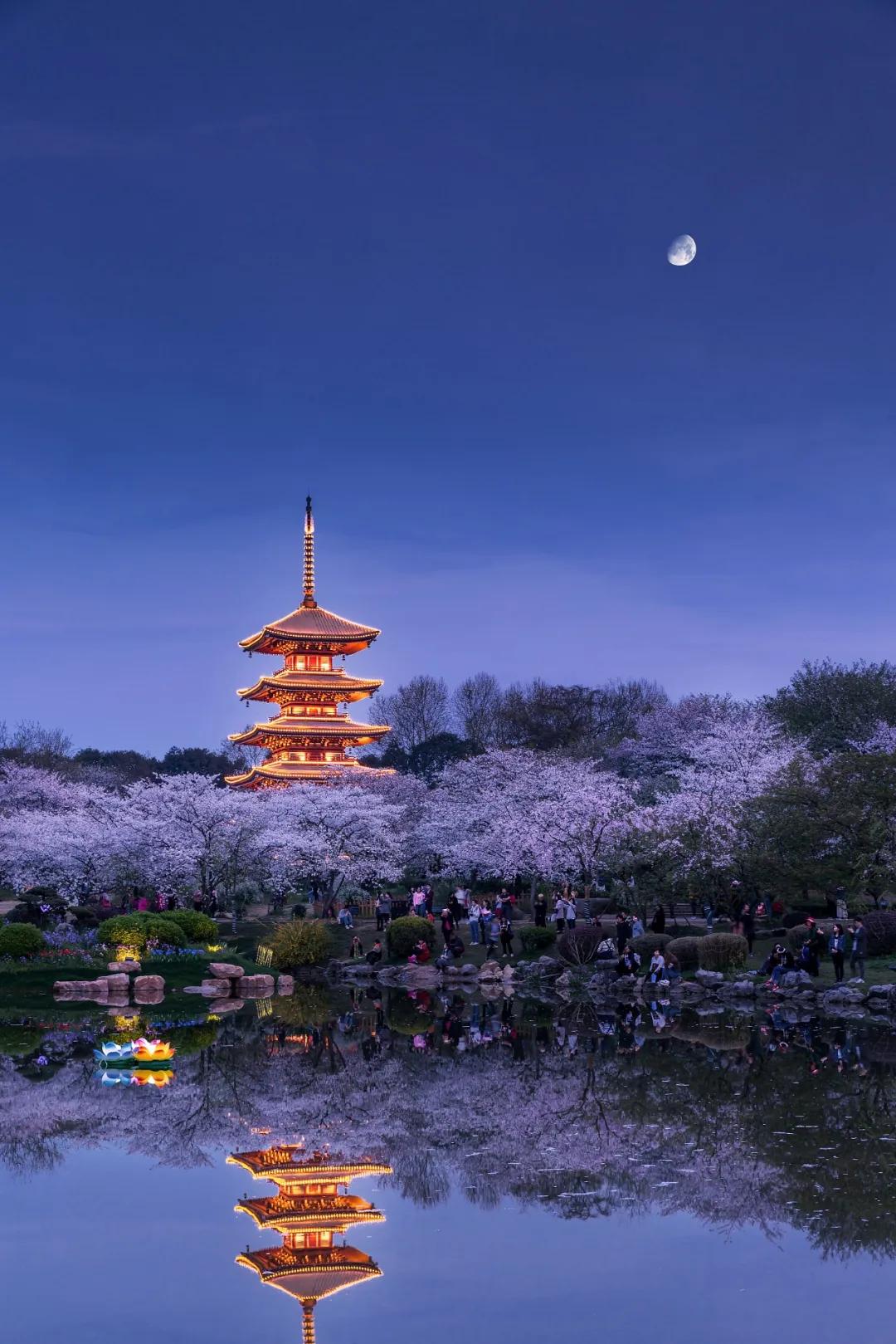 武汉的名字来自哪里,武汉的名字的历史