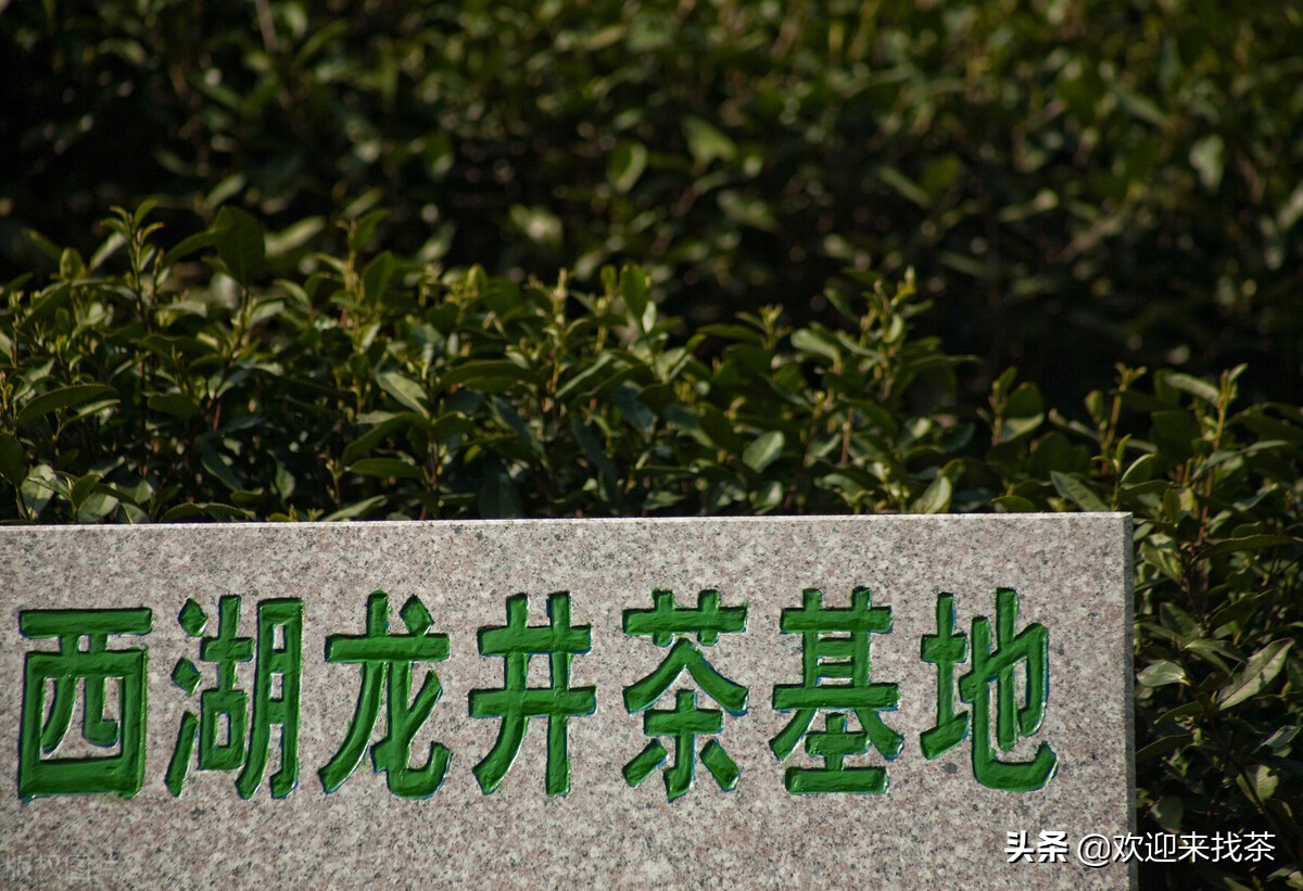 中国十大最好的茶叶品牌有哪些呢,中国知名茶叶品牌排行榜有哪些呢