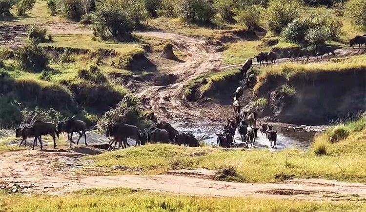 「东郊」5万人民币能干嘛？而我却能带你周游世界！