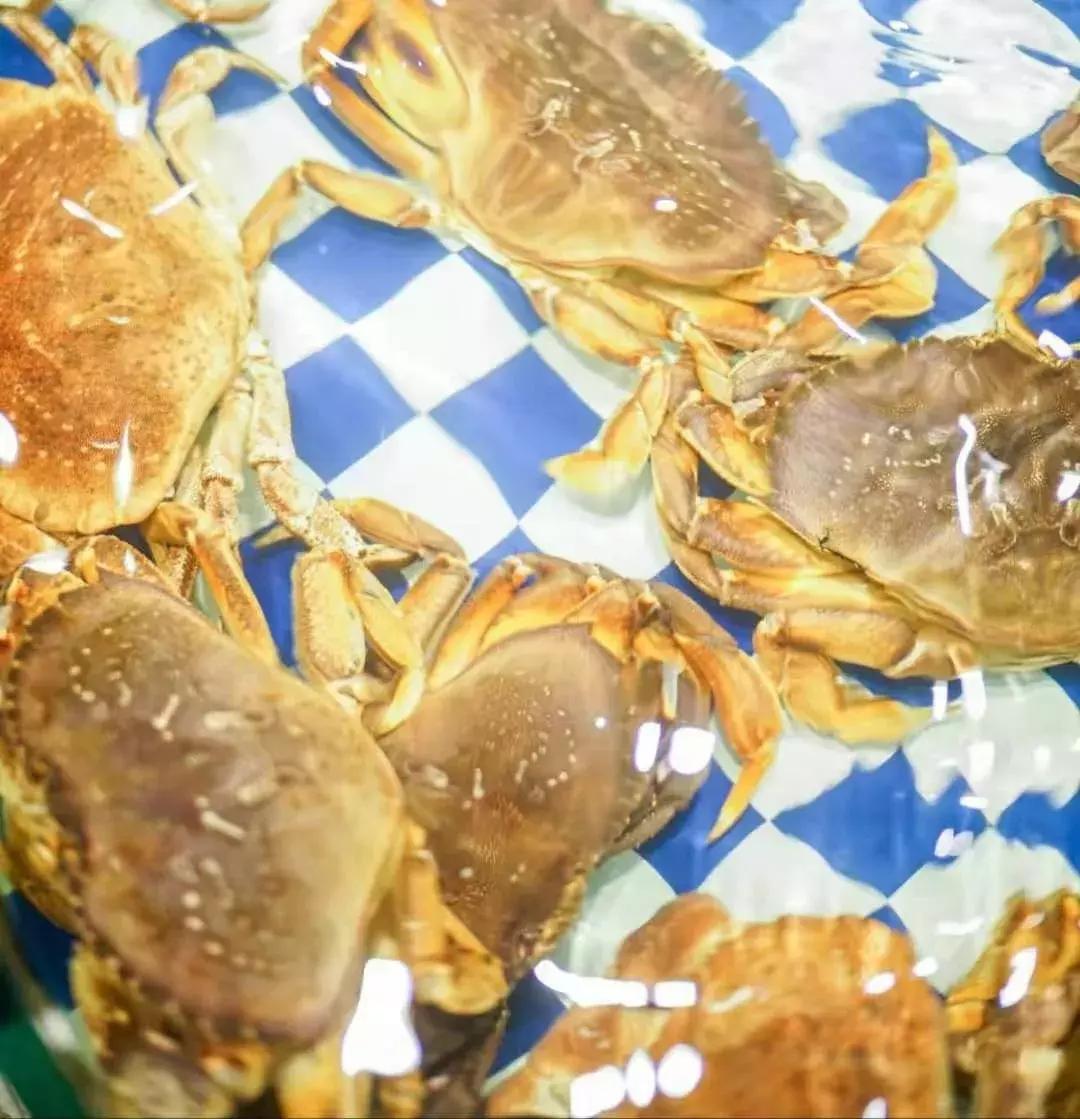 她17岁逃婚出深山，如今在无锡，开了南长街上最大的酒楼