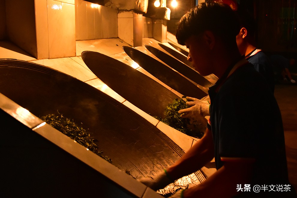 古树茶你必须知道的几个要素,如何挑选纯正的古树茶购买指南