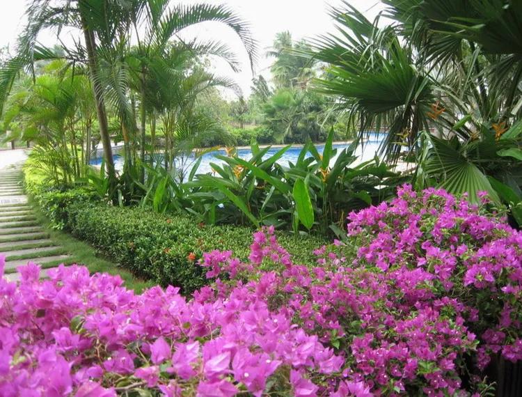 美景欣赏完整版,美景欣赏花朵