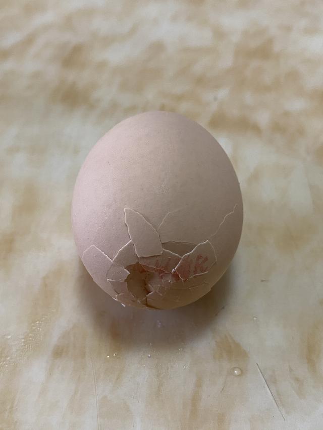 电热杯可以煮鸡蛋吗视频,便携式烧水杯可以煮鸡蛋吗