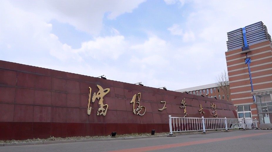 近10年受欢迎的职业,近五年最受欢迎的专业