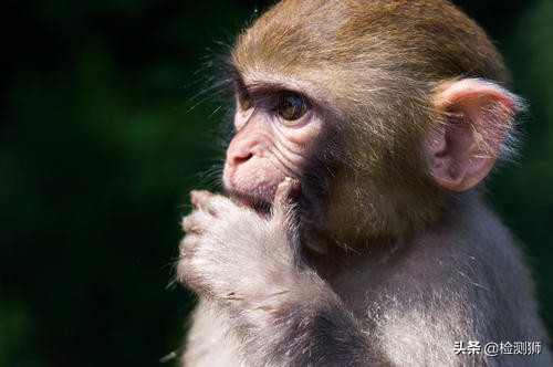 看得懂检测报告才是优秀实验员的必备技能