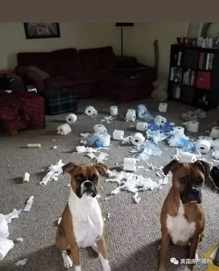 英国抗疫新政,抗击疫情英国最新通告