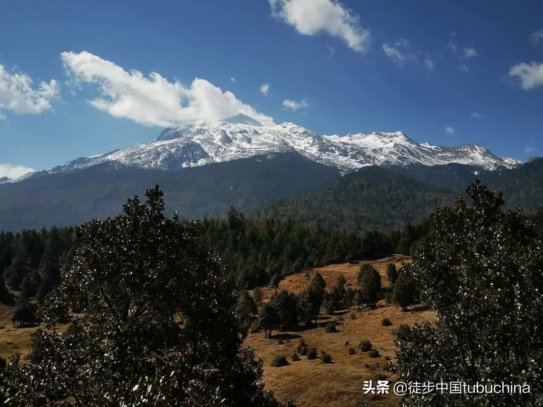 给我一个机会去爱你,给我一个机会让我去爱你