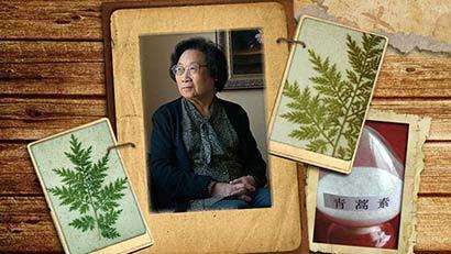 果蔬保鲜技术研究现状及发展趋势,果蔬保鲜储存技术参数表