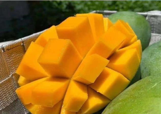 芒果巨无霸完整版,好吃到爆的芒果