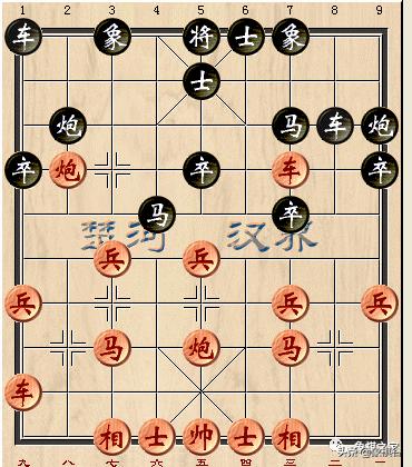 他被柳大华夸为“业余第一高手”，弈出绝妙弃车弃炮，威震弈林