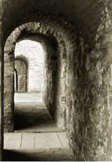 刚玩摄影用哪种相机比较好便宜,相机选什么性价比最高