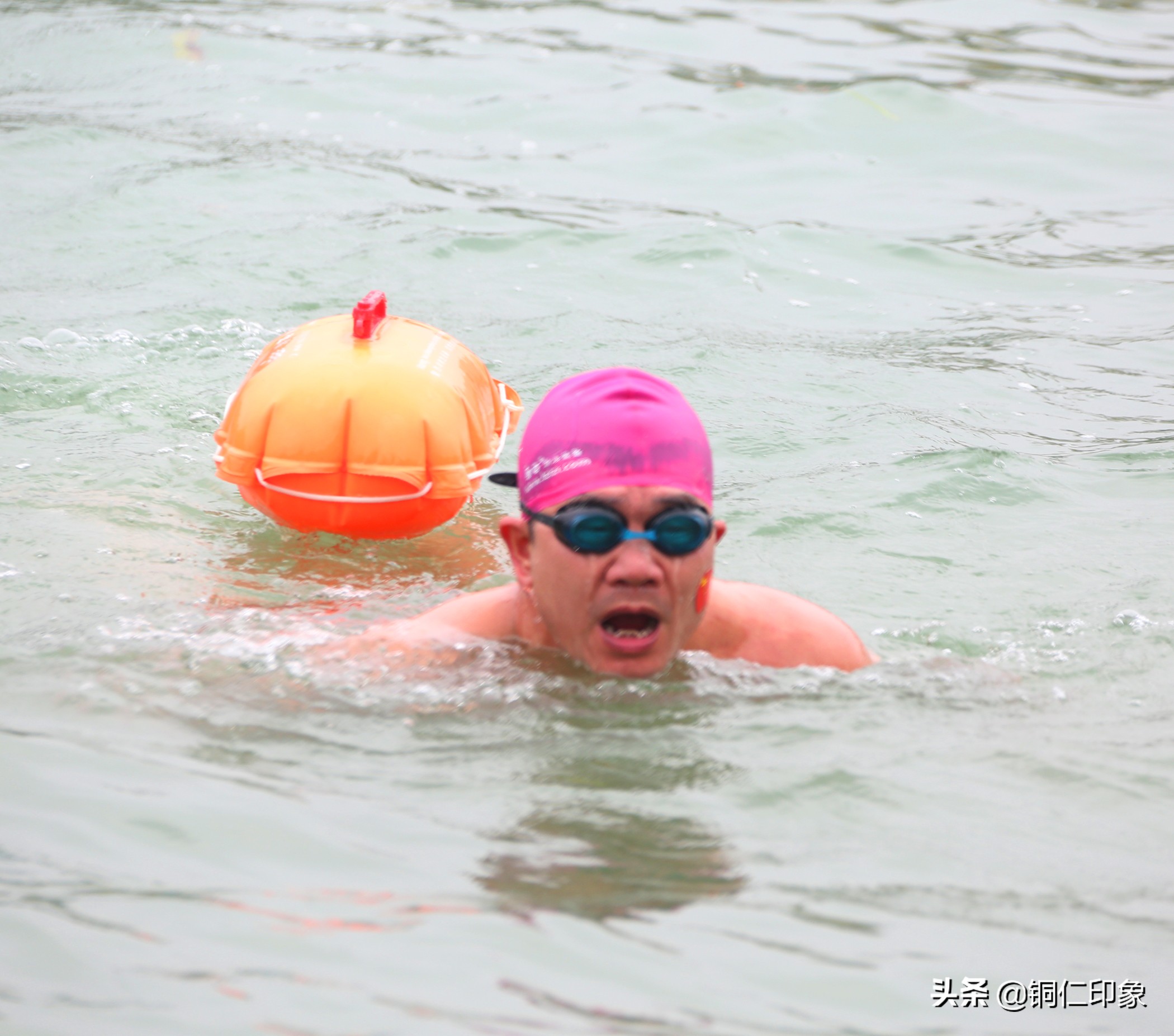 铜仁市游泳协会,2023年铜仁市运动会游泳比赛