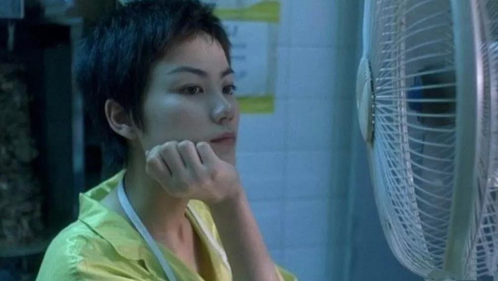 星二代谢霆锋视频,王菲星二代