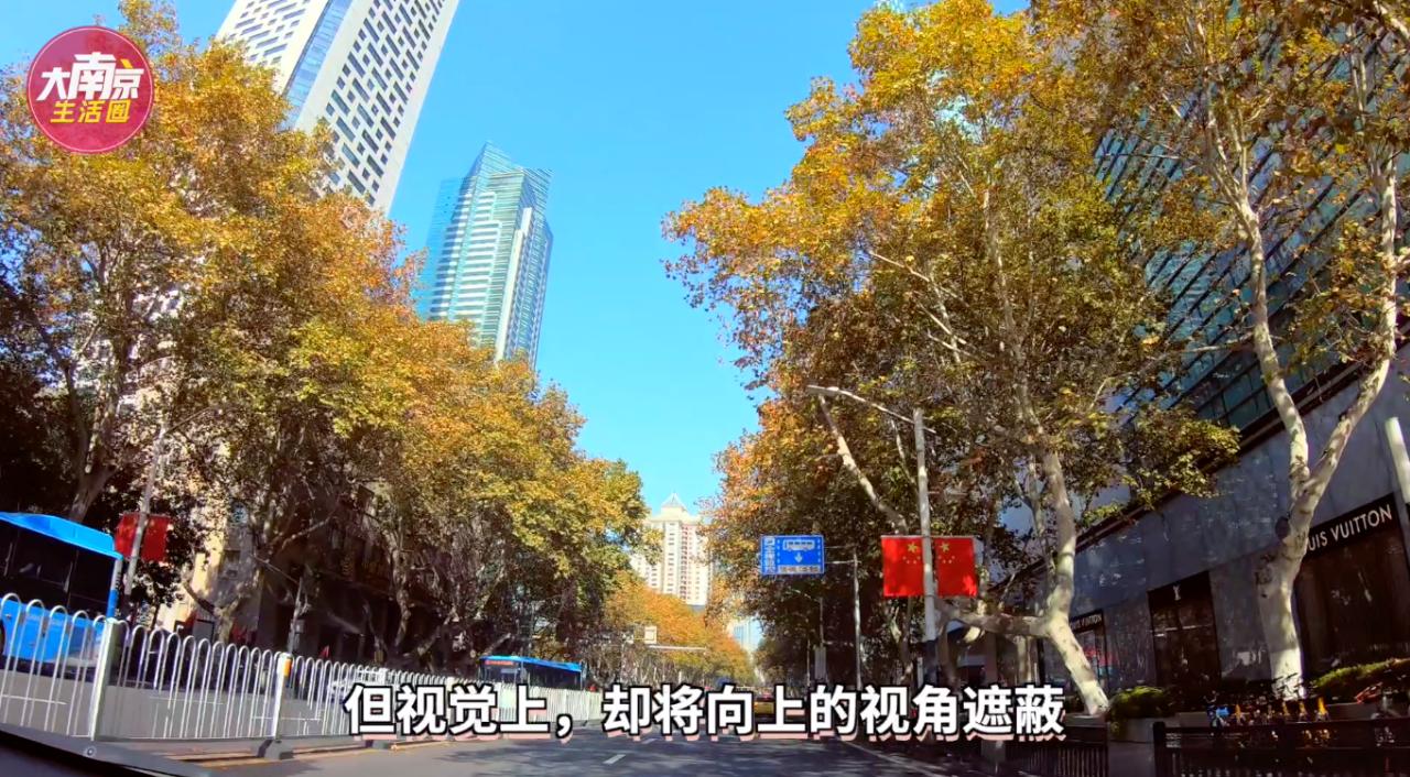 南京人口破千万是哪一年,南京城区人口为什么比杭州少