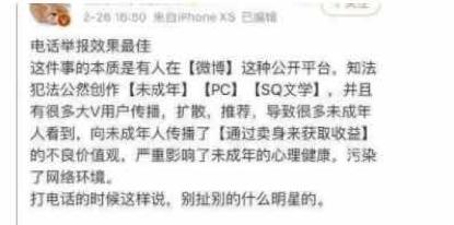 饭圈女孩与贴吧出征,饭圈女孩联合帝吧出征