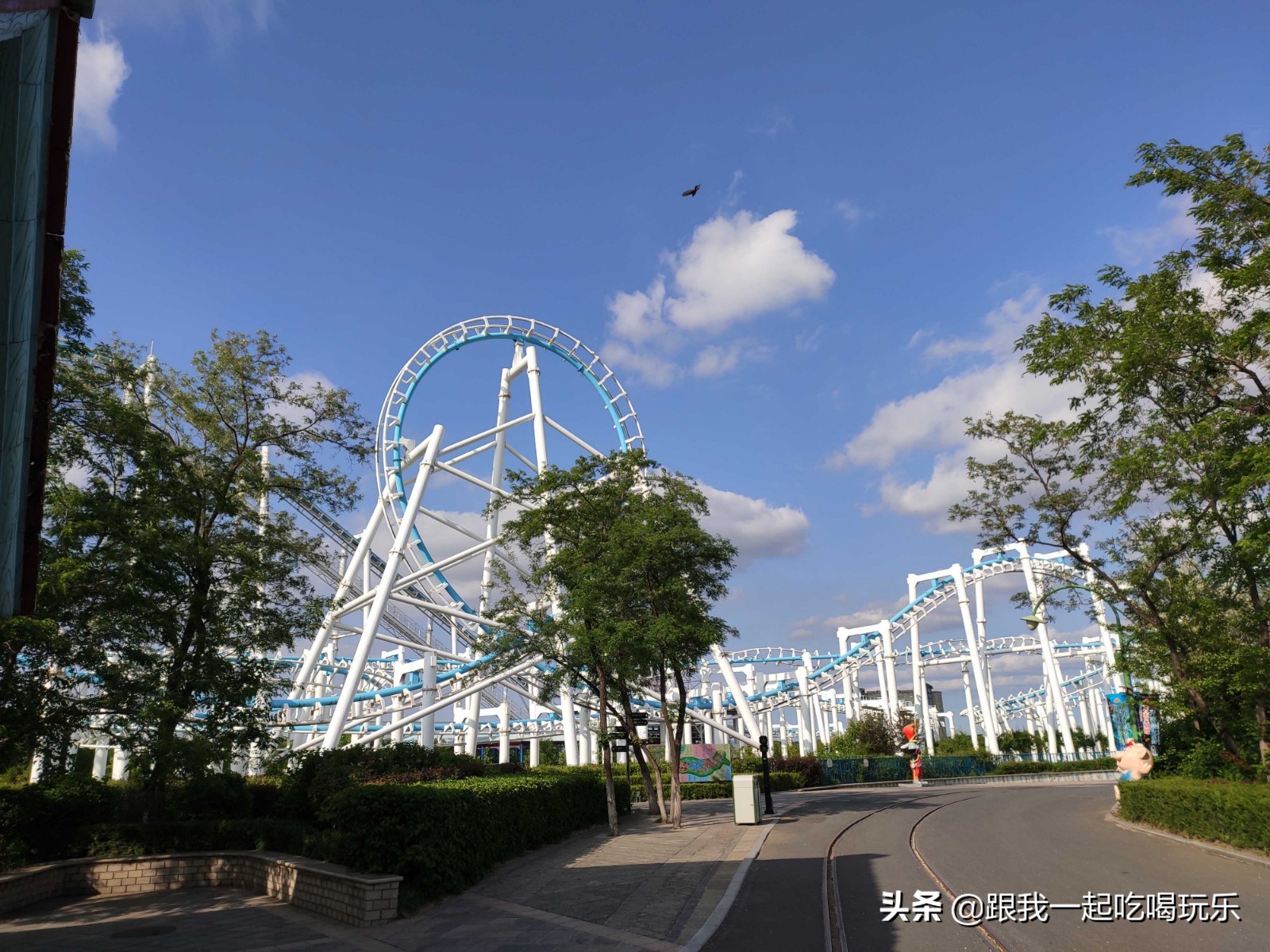 沈阳可以探险的地方,沈阳亲子游丛林探险