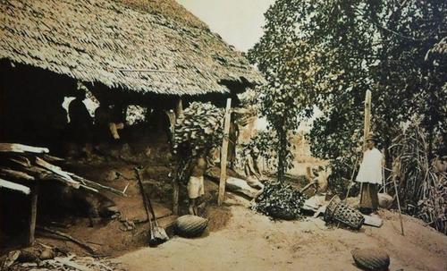 猴杯讲述了什么,猴杯故事梗概