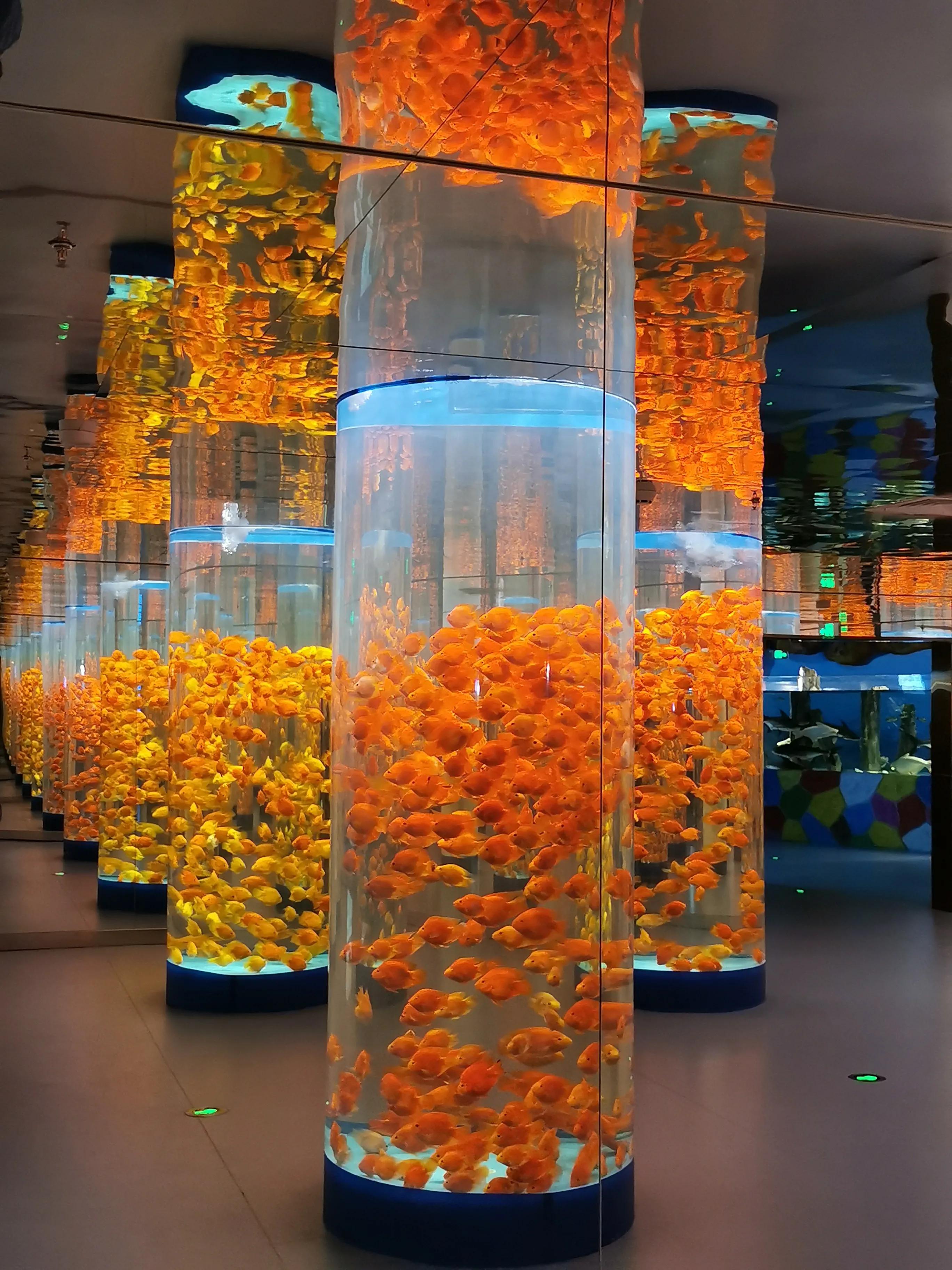 璧拌繘娴锋磱鍔ㄧ墿娴峰簳涓栫晫,鍙傝娴峰簳涓栫晫娴锋磱鍔ㄧ墿瑙嗛