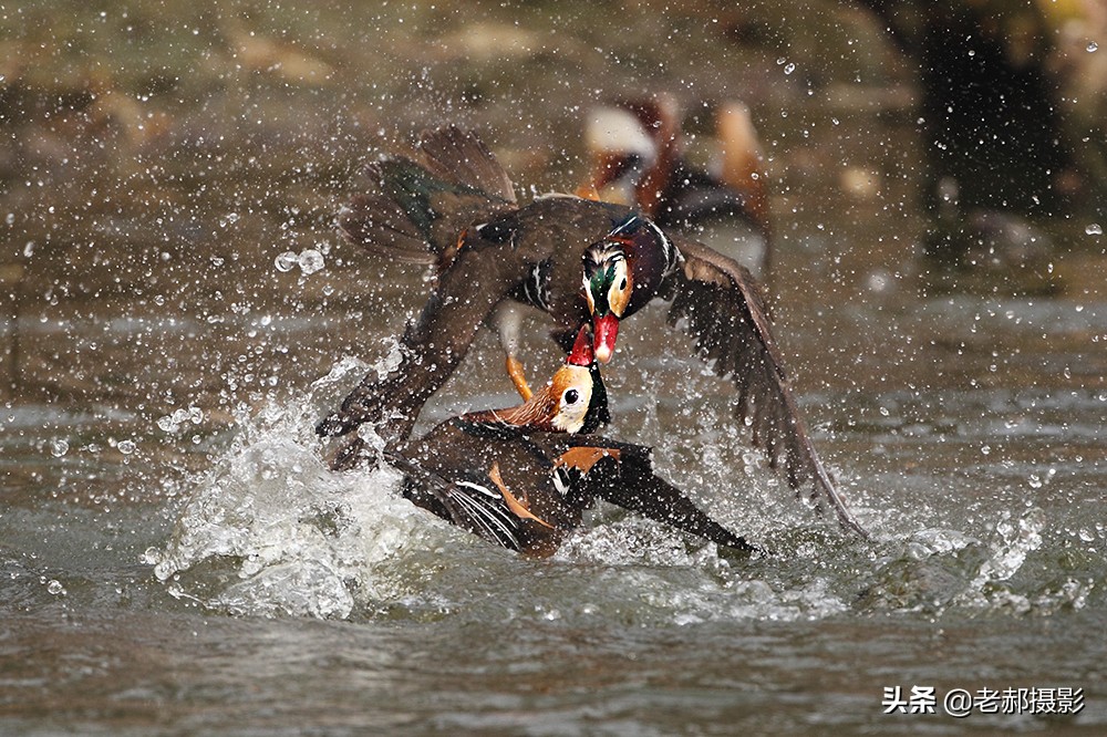 冲冠一怒为红颜讲的是谁,冲冠一怒为红颜的故事