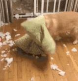 超过这个时间，百万螨虫陪你睡