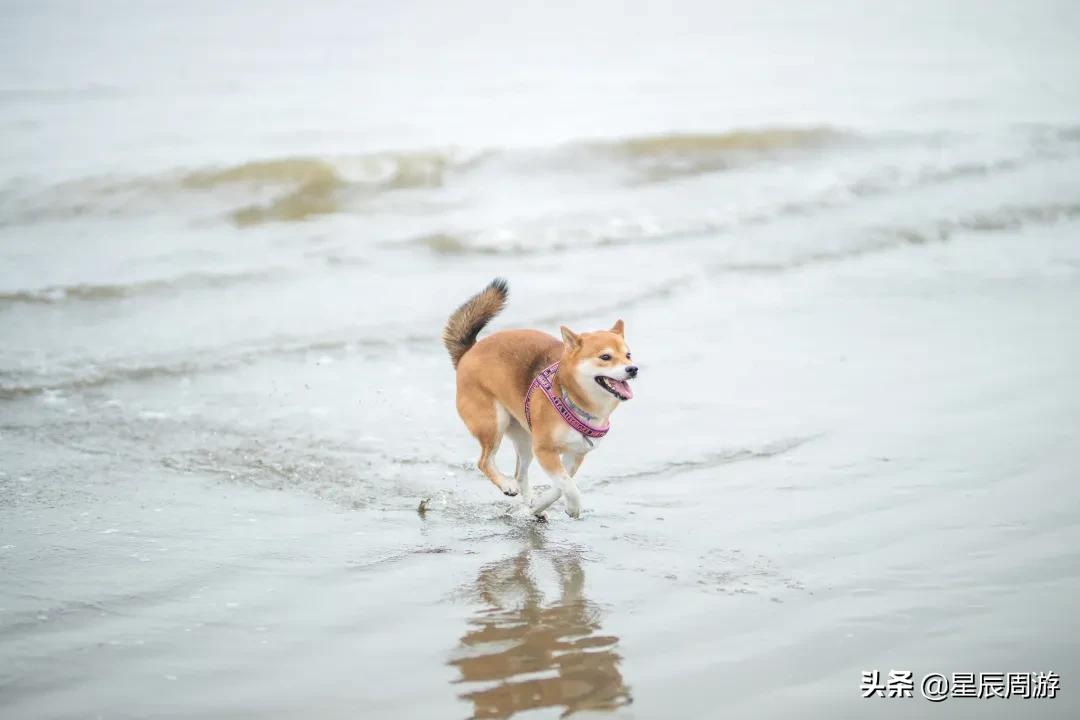 南通启东海边度假酒店,启东恒大海上威尼斯度假酒店