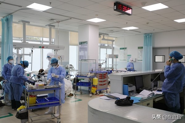 宜昌第一人民医院主任医师,宜昌第一人民医院医生排名