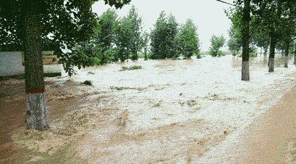 中到大雨+暴雨+大暴雨！河北发布最新暴雨蓝色预警，下班早点回家