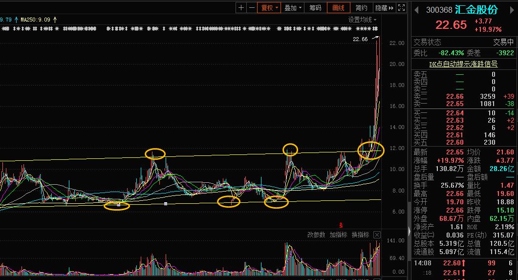汇金股份最新消息数字货币,汇金股份和数字货币