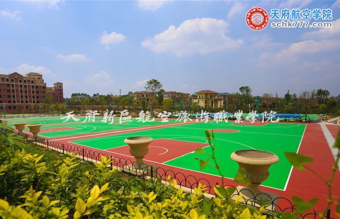 四川东星航空职业学院,成都市东星航空旅游职业学院