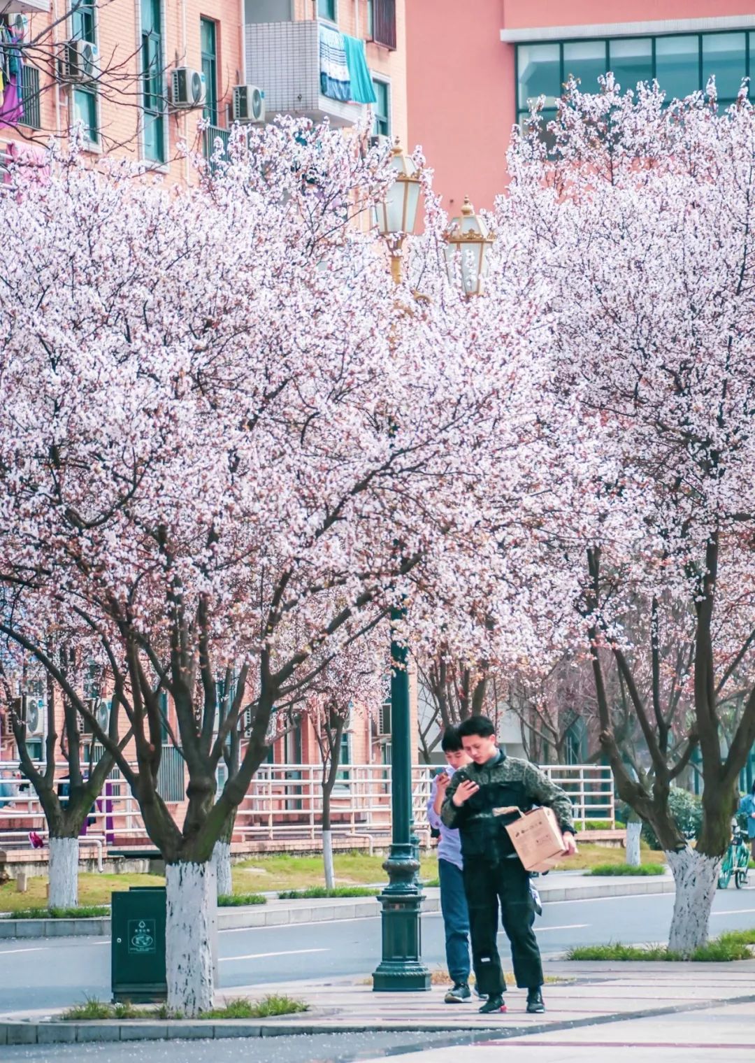 西南民大值得去读吗,西南民大是什么级别