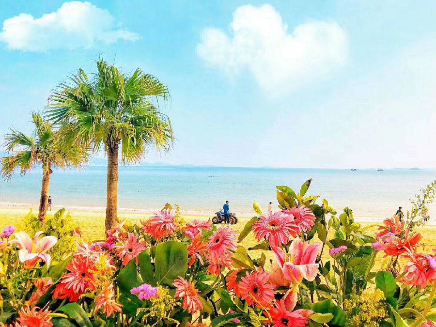 惠州泡泡海海景房价格,惠州泡泡海沙滩三天两晚住宿