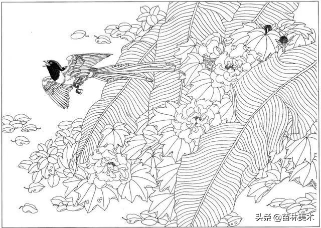 现代国画工笔花鸟白描及完整版,路雨年工笔白描花鸟团扇高清图片