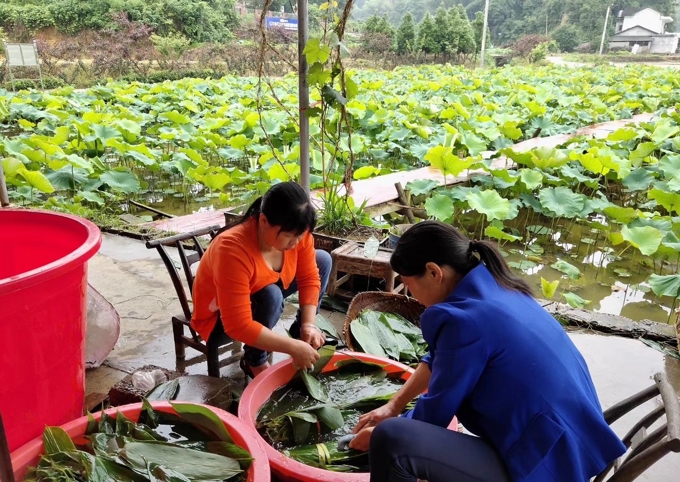 给游子最爱的“小时候的味道”，桃江这个女家庭农场主年销售额600万元