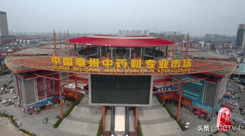 华佗故乡亳州药都之乡简介,亳州为什么被称为华佗故里