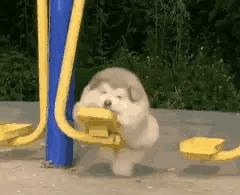 选岗位考公务员优先,选岗公务员