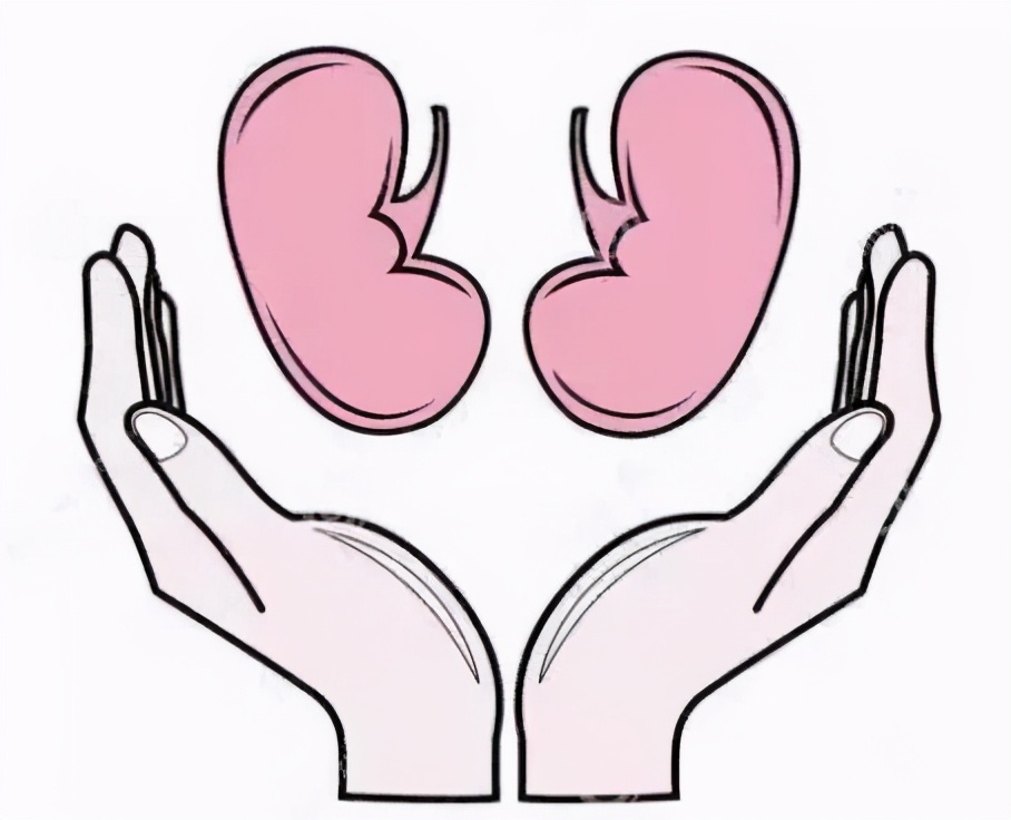 儿童肾病的隐形杀手,毛孩子得什么病