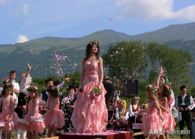 保加利亚玫瑰谷,保加利亚玫瑰谷花海