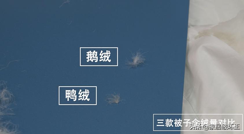 羽绒被以次充好会判刑吗,羽绒被骗局揭秘视频