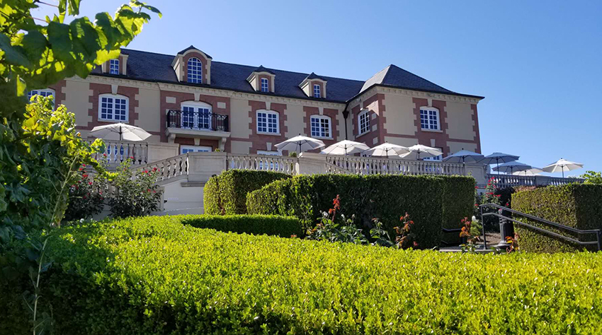 别再傻傻被骗了这才是正宗的红酒,红酒的误区和错误观念