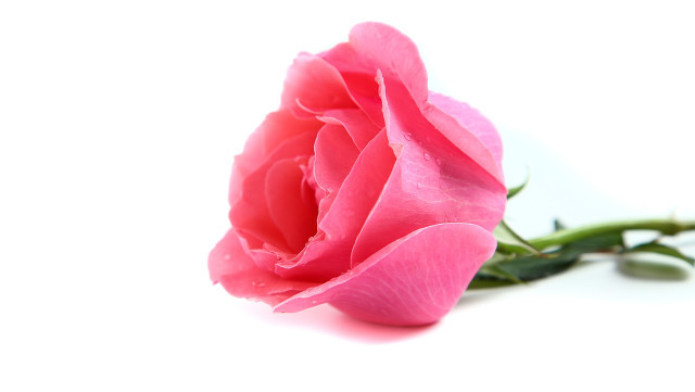 她做保姆这些年之豪门生活完整版,她做保姆这些年豪门生活267集完整